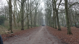 Manchester and Salford Ramblers, Alexandra Park 2016 width=